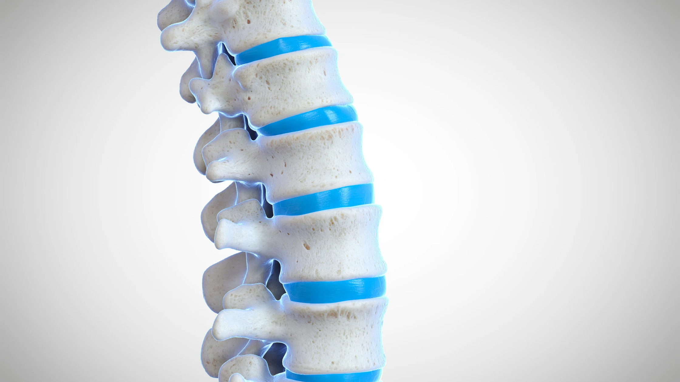 facet joint injections